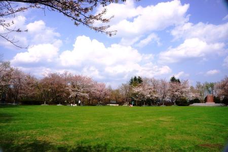 2012-5-8-桜戸田 050.jpg